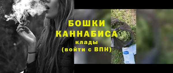 СК Дмитровск