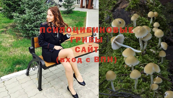 бутират Дмитриев