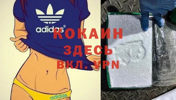 СК Дмитровск