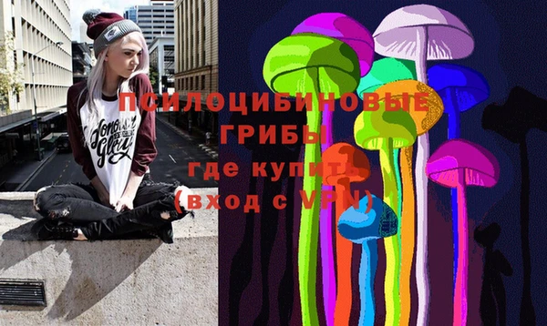 бутират Дмитриев