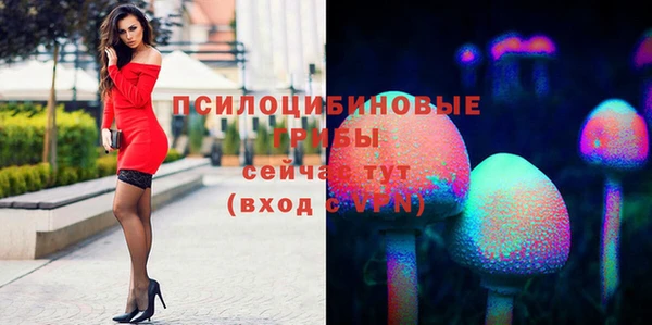 бутират Дмитриев
