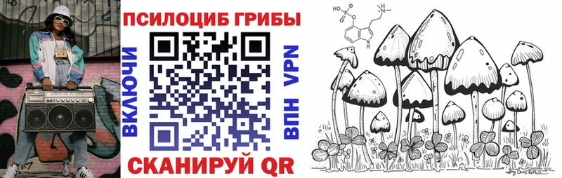 купить   Нея  МЕГА   площадка наркотические препараты  Галлюциногенные грибы GOLDEN TEACHER 